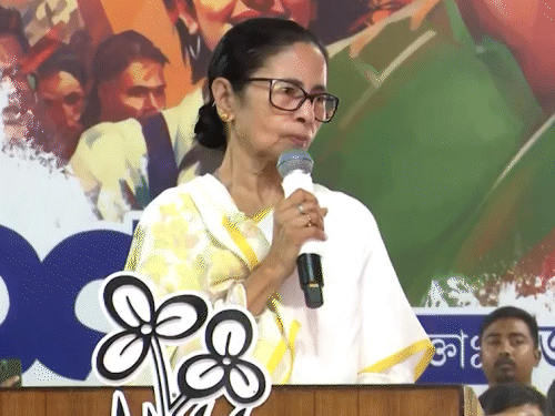 ममता बोलीं- भाजपा का फैलाया भाषायी आतंक बर्दाश्त नहीं:कहा- जब तक मैं जिंदा हूं, किसी को भी मताधिकार नहीं छीनने दूंगी
