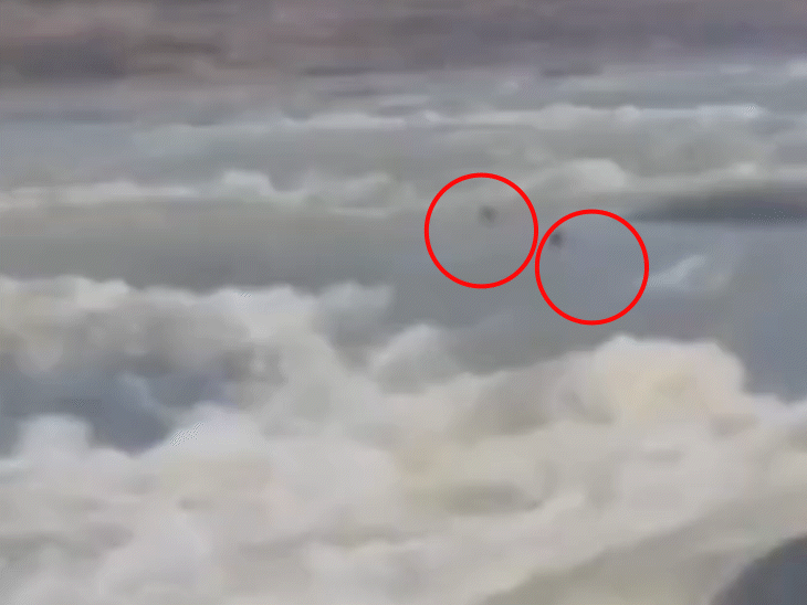 वाटरफॉल में बहते हुए 200 फीट नीचे गिरीं मां-बेटी, VIDEO:रीवा में तीज नहाने गई थीं; मां को बचाने दौड़ी बेटी भी नहीं बच सकी