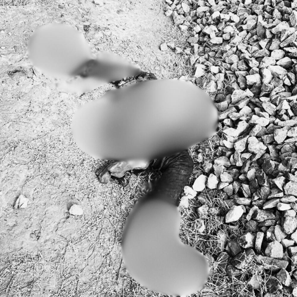 बठिंडा में ट्रेन की चपेट में आने से मौत:  व्यक्ति का शव ट्रैक पर क्षत-विक्षत मिला, पहचान होना बाकी – Bathinda News