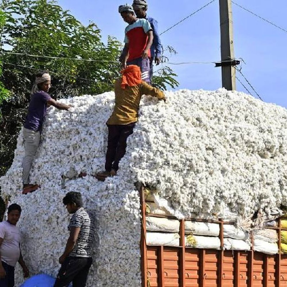 कपड़ा कारोबारी 31 दिसंबर तक ड्यूटी-फ्री कॉटन इंपोर्ट कर पाएंगे:50% अमेरिकी टैरिफ से टेक्सटाइल सेक्टर को बचाने के लिए फैसला, 11% तक छूट मिलेगी