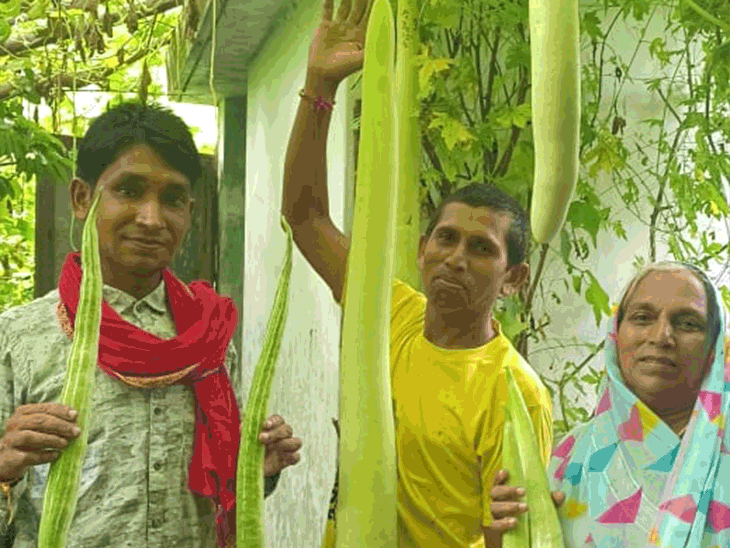 6 फीट लंबी लौकी, 3 फीट की बरबट्टी उगाई:नीम, सीताफल के पत्ते, धतूरा-गोमूत्र से बना रहे जैविक कीटनाशी, 5KG तक का बैंगन भी उगाया