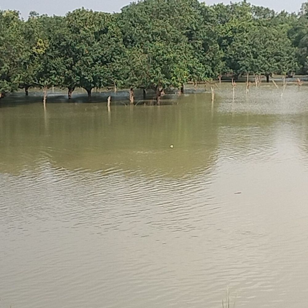 खगड़िया में गंगा-गंडक का जलस्तर बढ़ा:घरों में घुसा पानी, मुखिया प्रतिनिधि बोले- बाढ़ प्रभावित इलाकों में नाव की व्यवस्था कर दी