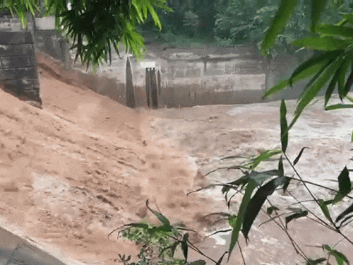 घग्गर नदी का जलस्तर बढ़ा:  मोहाली जिला प्रशासन ने जारी किया अलर्ट, फेज-11 में लोगों के घरों में घुसा पानी – Mohali News