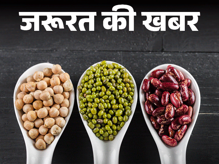 जरूरत की खबर- 7 बेस्ट प्रोटीन रिच बीन्स:विटामिन्स-मिनरल्स का स्रोत, मसल्स बनाने में मददगार, जानें इनकी न्यूट्रिशनल वैल्यू