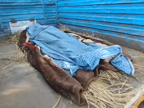 नालंदा में पइन में मिला बुजुर्ग का शव:शौच के लिए घर से निकले थे, पानी में डूबने से गई जान; हाथ-पैर धोते समय हादसा