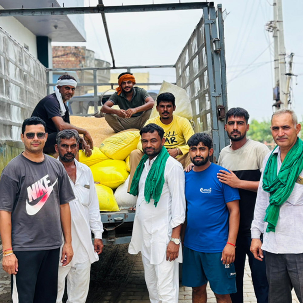 जींद से भी होगी पंजाब में बाढ़ पीड़ितों की मदद:  उझाना गांव के ग्रामीण एकत्रित कर रहे 160 क्विंटल गेहूं, कपूरथला गुरुद्वारा भेजी जाएगी – Jind News