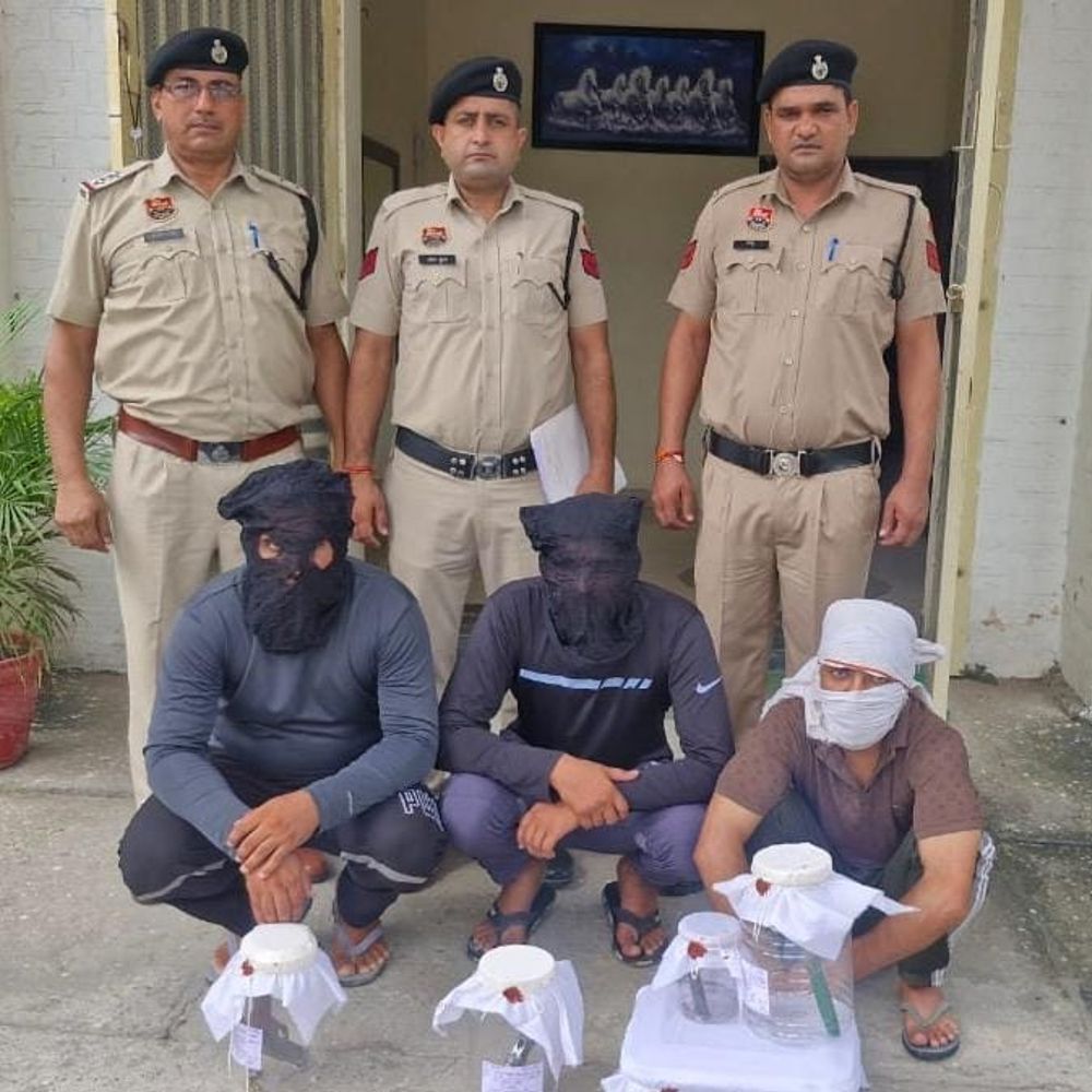 पानीपत में अवैध हथियार के साथ तीन गिरफ्तार:  समालखा में वारदात की फिराक में थे तीनों, देसी पिस्तौल और चाकू बरामद – Samalkha News