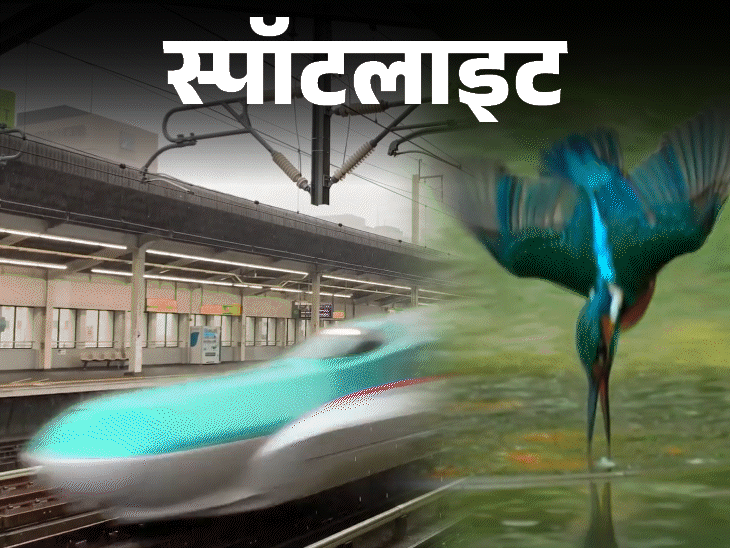 स्पॉटलाइट-एक चिड़िया ने कैसे दिया था बुलेट ट्रेन का आइडिया:पीएम मोदी ने किया सफर, भारत में कबसे दौड़ेंगी 300 किमी की रफ्तार वाली शिंकान्सेन