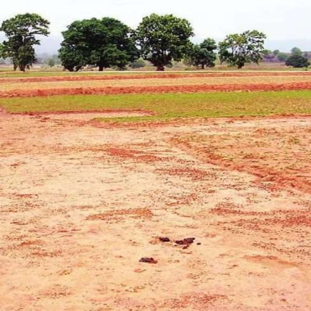 ​​​​​​​ग्वालियर में प्लॉट का झांसा देकर 23 लाख की ठगी:बैंक मैनेजर की मिलीभगत से गिरवी जमीन का सौदा, कब्जा लेने पहुंचे तो हुआ खुलासा