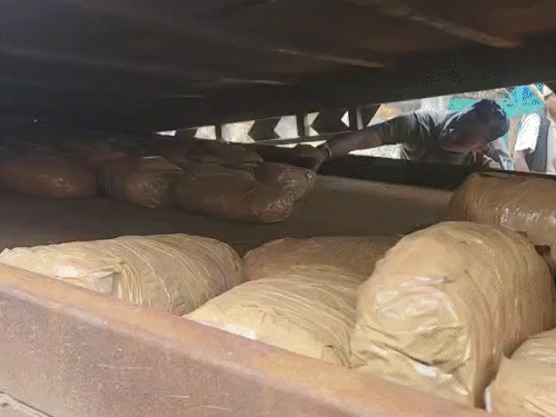 ट्रक के सीक्रेट चैंबर से 50 लाख का गांजा पकड़ाया:ओडिशा से दिल्ली ले जा रहे थे; कवर्धा में चेकिंग के दौरान 2 तस्कर अरेस्ट