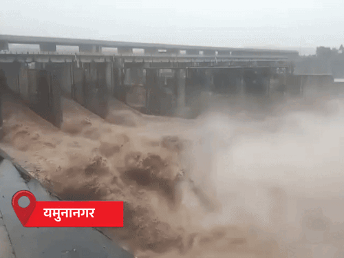 हरियाणा में यमुना उफान पर, जलस्तर 3 लाख क्यूसेक पार:5 जिलों में बाढ़ का खतरा; जमीन कट रही, बांध रिस रहे