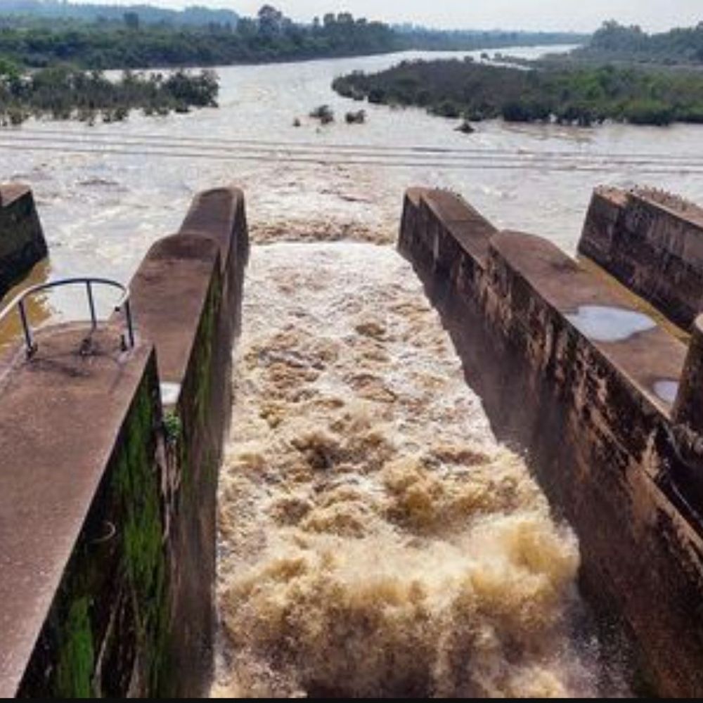 पौंग बांध का जलस्तर खतरे के निशान से ऊपर:  बीबीएमबी ने छोड़ा 79 हजार क्यूसेक पानी, निचले इलाकों में अलर्ट जारी – Dharamshala News