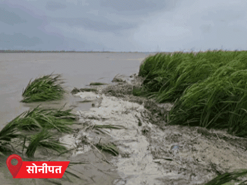 हरियाणा में यमुना से सटे जिलों में बाढ़ का खतरा:हजारों एकड़ फसल डूबी, 100 गांवों में घुस सकता है पानी, घर छोड़ रहे लोग