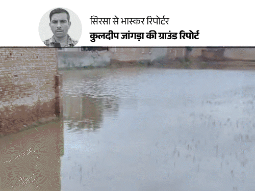 7 जिलों से गुजरती घग्गर सिरसा में खतरा बनी:तटबंध पर बसे मकानों में दरारें, स्कूल में शरण ली; लोग बोले- पहले सुध नहीं ली