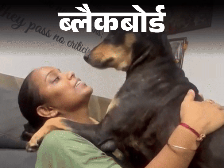 ब्लैकबोर्ड-मंगेतर ने कुत्तों का खर्च रोका तो सगाई तोड़ दी:लोग तंज कसते-शादी करके क्या करोगी, तुम्हें तो कुत्तों संग अच्छा लगता है