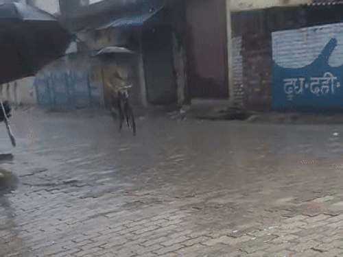 हथिनीकुंड बैराज के फ्लड गेट 63 घंटे से खुले:3 जिलों में बारिश, 4 में ऑरेंज अलर्ट; हिसार समेत 7 जिलों में स्कूल बंद