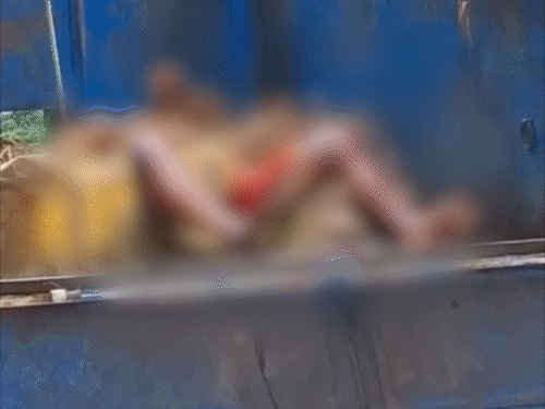 प्रेम-प्रसंग में हुई थी संतोष की हत्या, प्रेमिका गिरफ्तार:भोजपुर में देर रात मिलने पहुंचा था; कमरे में पहले से दूसरा प्रेमी मौजूद था, दोनों ने मिलकर मार डाला