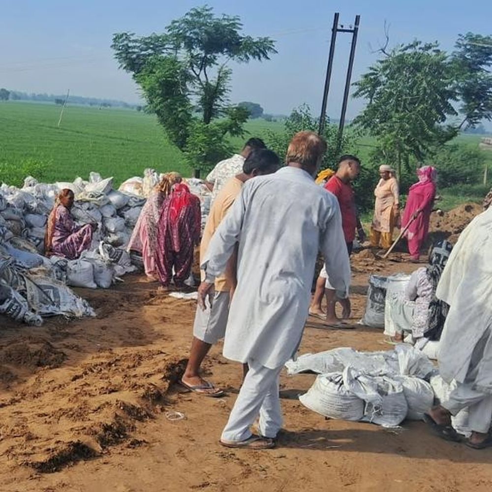 जाखल घग्गर नदी में 50 हजार क्यूसिक तक पहुंचा जलस्तर:  प्रशासन अलर्ट, एसडीएम का दौरा, रिंग बांधों को किया जा रहा मजबूत – Jakhalmandi News