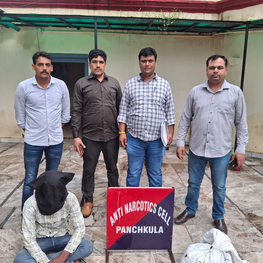 पिंजौर में 4.1 किलो गांजे के साथ तस्कर गिरफ्तार:  बिहार निवासी युवक हरिद्वार से बद्दी-पिंजौर में करता था सप्लाई – Panchkula News