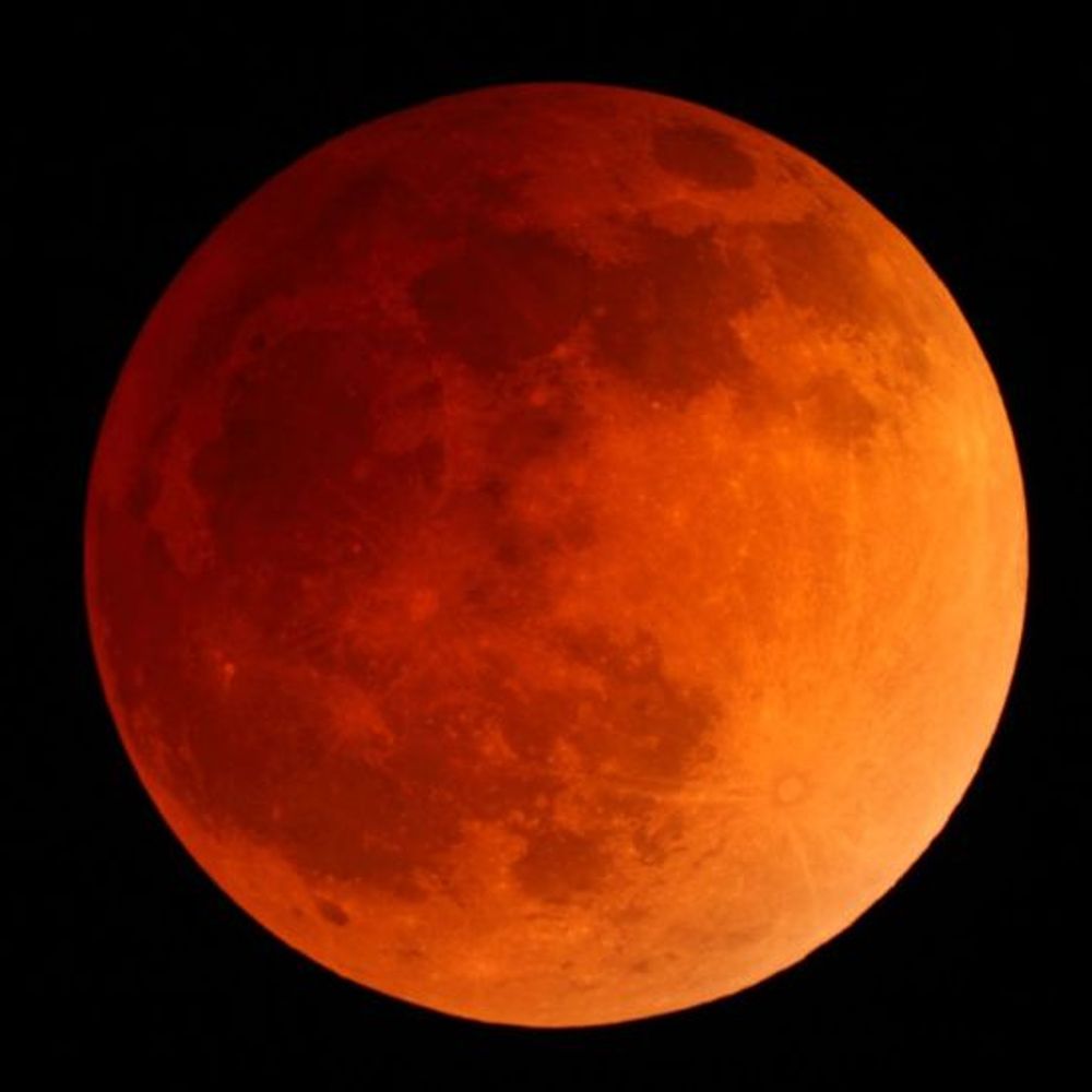 भारत में आज साल का आखिरी चंद्र ग्रहण:82 मिनट तक नजर आएगा ब्लड मून; देशभर में कहीं से भी देखा जा सकेगा