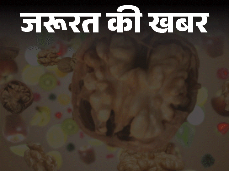 जरूरत की खबर- हेल्दी ब्रेन चाहिए, खाएं ये 14 चीजें:शुगर और ट्रांस फैट ब्रेन के लिए खतरा, डॉक्टर से जानें 6 जरूरी सावधानियां