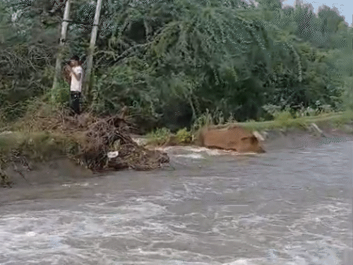 हिसार एयरपोर्ट के पास माइनर टूटी:घग्गर नदी का बांध टूटा; मारुति स्टॉकयार्ड में सैकड़ों गाड़ियां डूबीं, गृहमंत्री शाह की मीटिंग कैंसिल