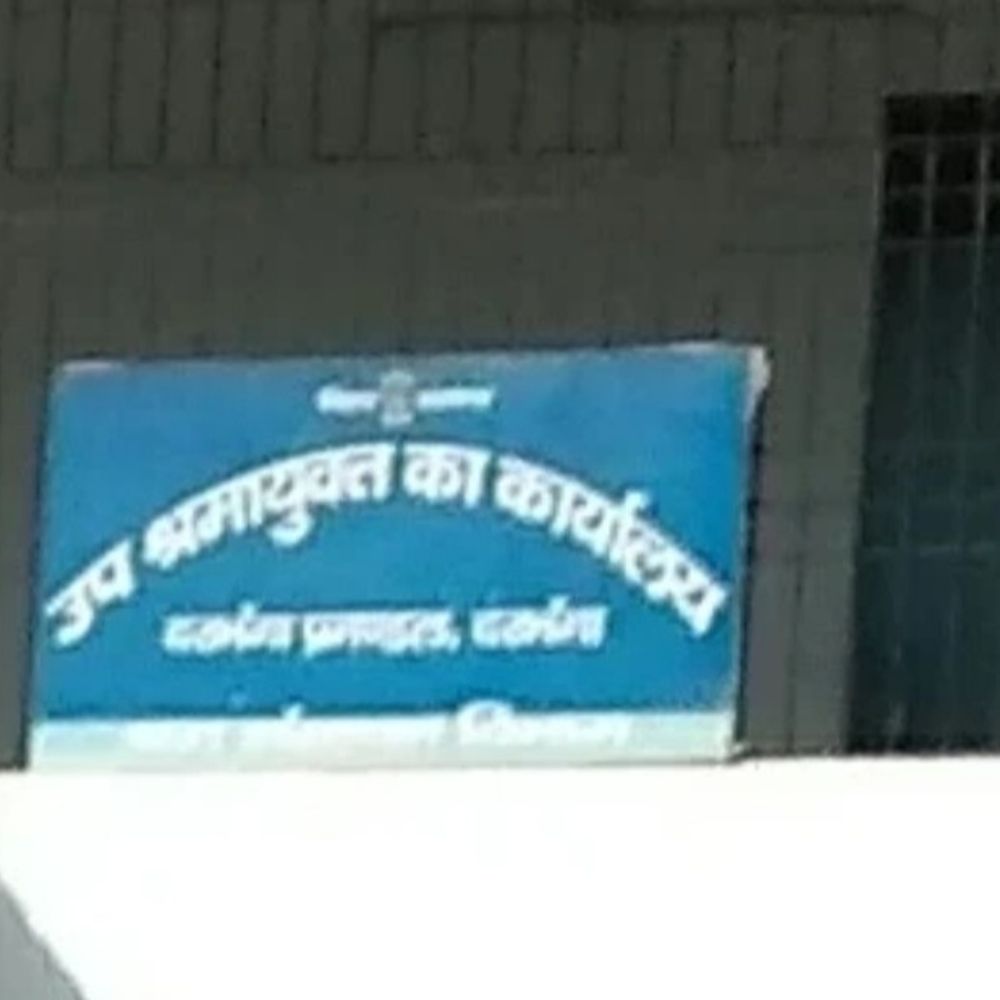 दरभंगा में दिव्यांगों को रोजगार की मिलेगी जानकारी:मार्गदर्शन को लेकर लगेगा विशेष नियोजन शिविर, बेरोजगारों के लिए अवसर