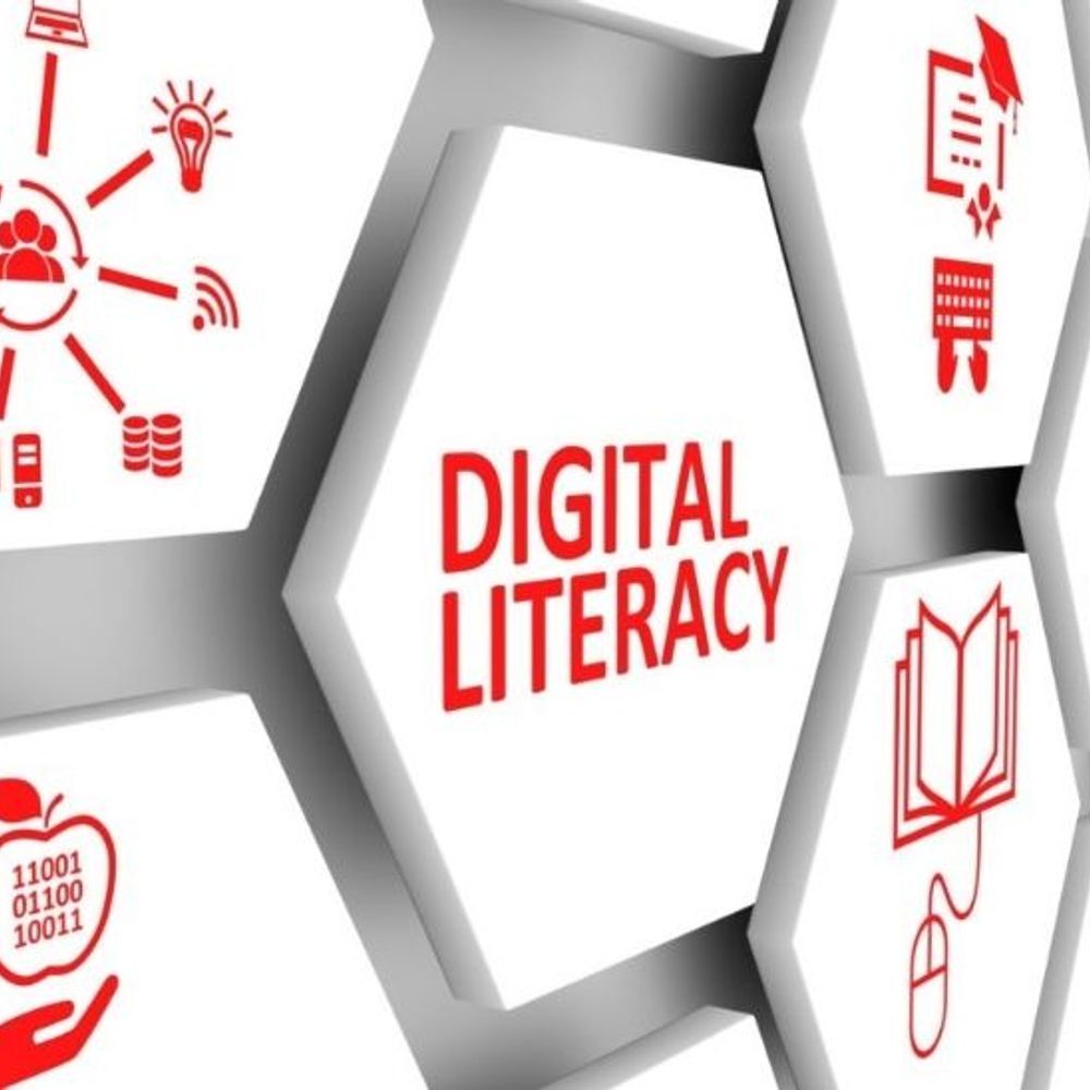 अंतरराष्ट्रीय साक्षरता दिवस:केरल के तीन गांव का कहानी, यहां हिंदी भाषा विवाद मुद्दा नहीं, घर-घर संविधान की शिक्षा