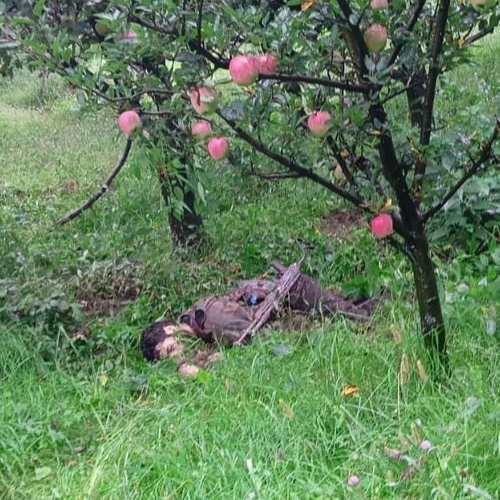 कुलगाम एनकाउंटर का दूसरा दिन, आतंकियों की तलाश जारी:एक दिन पहले मुठभेड़ में दो आतंकवादी मारे गए थे; दो जवान हुए थे शहीद