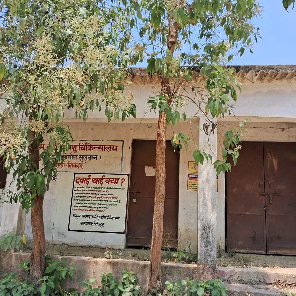 पुरनहिया का पशु चिकित्सालय बदहाल:किराया विवाद के कारण बंद पड़ा निजी भवन, 8 साल से अस्थायी जगह से चल रहा