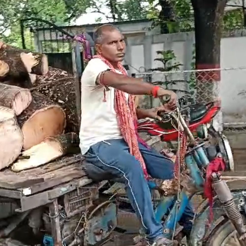 जमुई में इंजीनियर ने बिना अनुमति कटवाया पेड़:सरकारी आवास से आम का पेड़ गायब, लकड़ी आरा मिल भेजने का आरोप, DFO बोले-मामला स्थानीय थाना का SO करेंगे कार्रवाई
