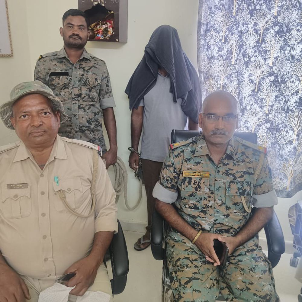 पलामू में अवैध खैर की लकड़ी से भरा ट्रक पकड़ा:  बिहार के चालक को किया गिरफ्तार, मालिक के खिलाफ जारी है जांच – Palamu News