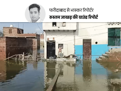 फरीदाबाद में यमुना का पानी उतरा, अब बर्बादी की तस्वीरें:500 घरों में कीचड़ की परत जमी, बिजली गुल; 2-2 मीटर लंबे सांप निकल रहे