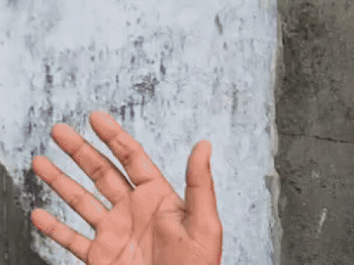 डॉक्टर की टेबल पर रखा सांप:व्यक्ति बोला- इसने काटा, इलाज करो; कट्‌टे में बंद कर सोनीपत अस्पताल लेकर पहुंचा