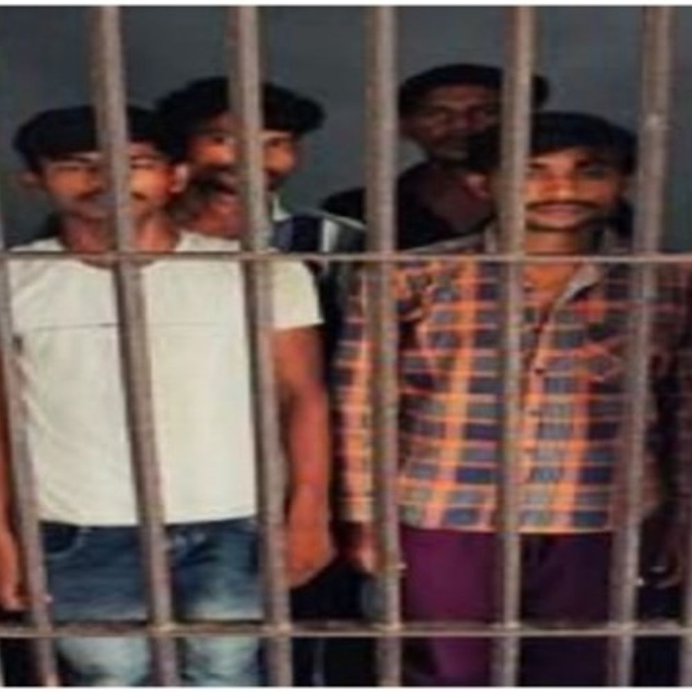 अयोध्या में अंतरराज्यीय भैंस चोर गिरोह का भंडाफोड़:पुलिस ने 4 आरोपी को पकड़ा, 3 फरार; पिकअप, तमंचा बरामद