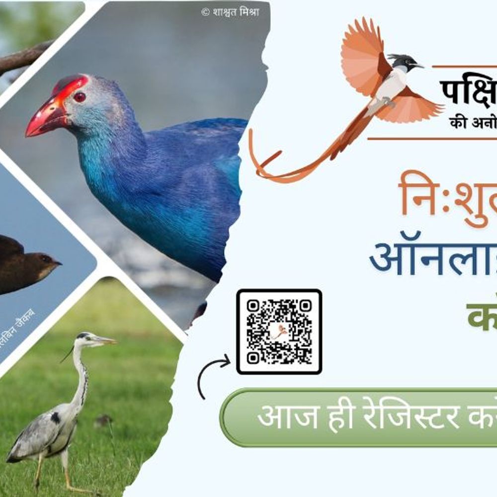 ‘पक्षियों की अनोखी दुनिया':अर्ली बर्ड का निःशुल्क कोर्स अब हिंदी में भी उपलब्ध; डायरेक्‍ट लिंक से करें रजिस्‍ट्रेशन