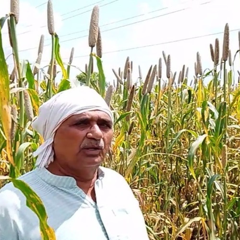 रेवाड़ी के किसान ने खुद तैयार की दीमकरोधी दवा:  11 हजार लेयर अंडों वाला मुर्गी फार्म खोला; इसी में खाद तैयार करके बढ़ाई आमदनी – Haryana News