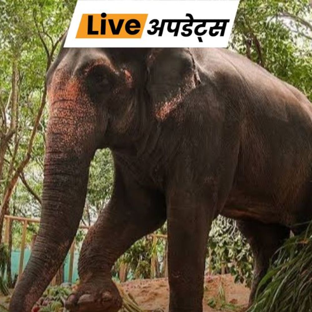 भास्कर अपडेट्स:वनतारा मामला- SIT ने सुप्रीम कोर्ट को सौंपी रिपोर्ट, 15 सितंबर को सुनवाई