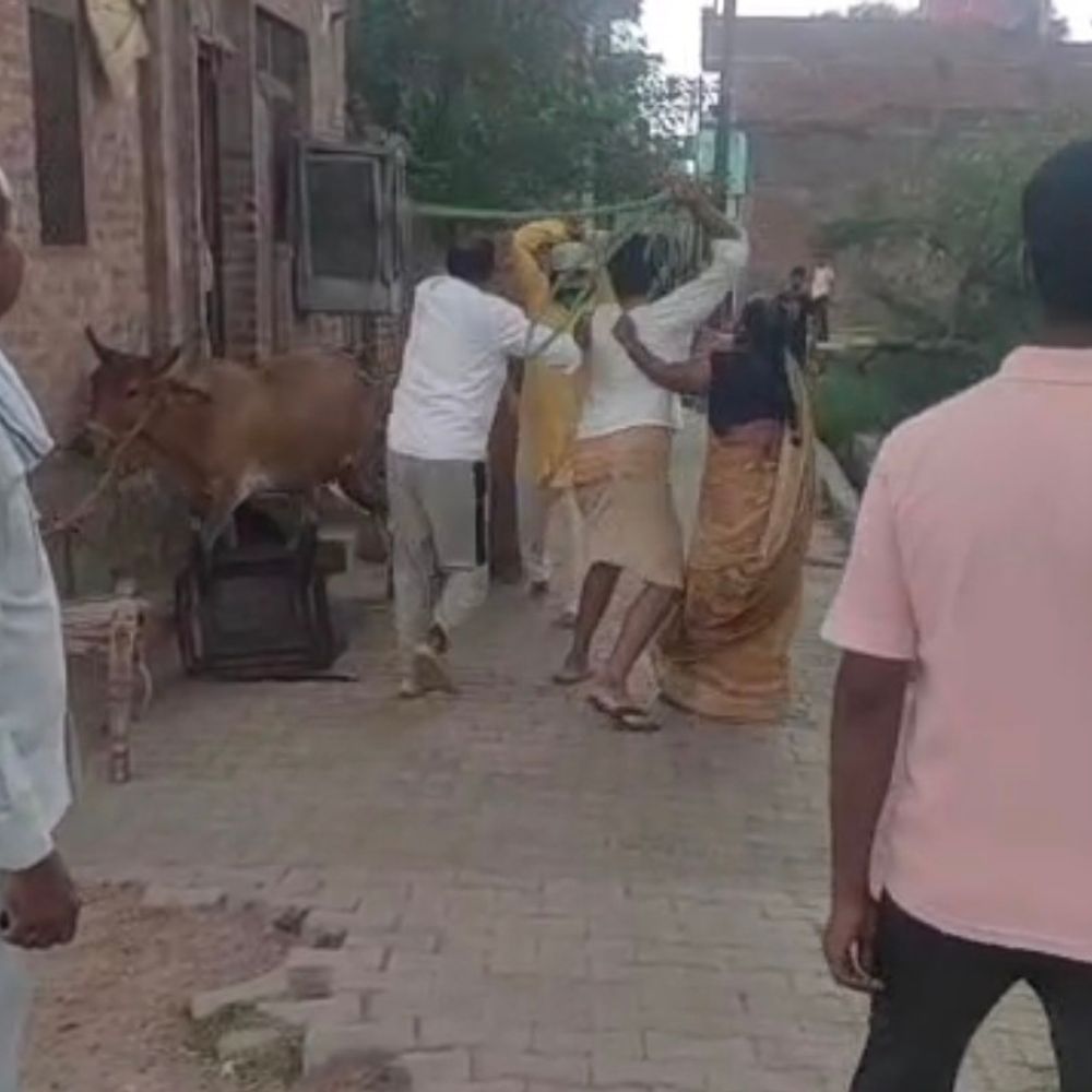 खाली प्लॉट में गोबर डालने को लेकर विवाद:फिरोजाबाद में नगर निगम की टीम और स्थानीय लोगों के बीच मारपीट, कई घायल