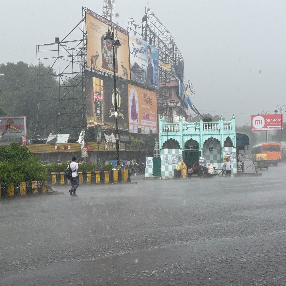 बरेली में तेज बारिश:कई इलाकों में पेड़ और पोल गिरे, बिजली कटने से लोग हुए परेशान