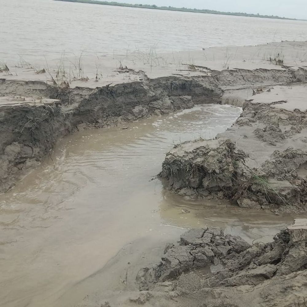 शारदा नदी का बढ़ता जलस्तर बना संकट:सीतापुर के फूलपुर गुनिया गांव में तेज कटान, 12 बीघा खेत पहले ही बह चुके
