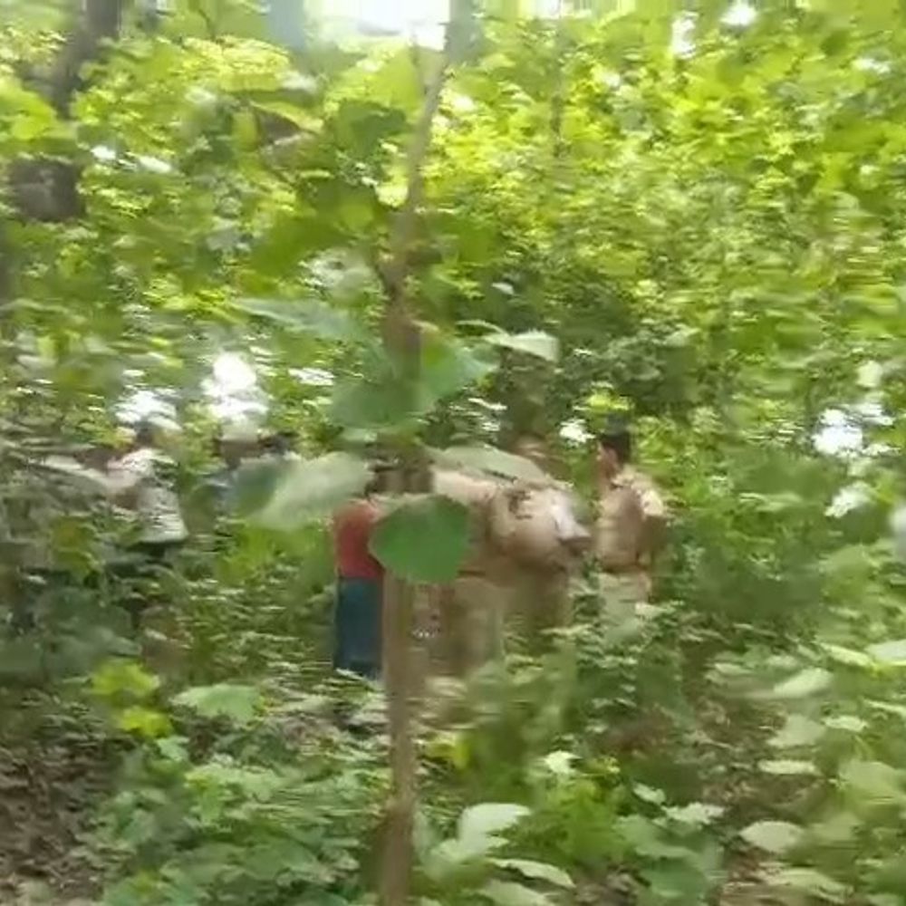जंगल में फंदे से लटका मिला व्यक्ति का शव:सुबह घर से निकला था, मुकदमे में समझौते से दबाव से थे परेशान