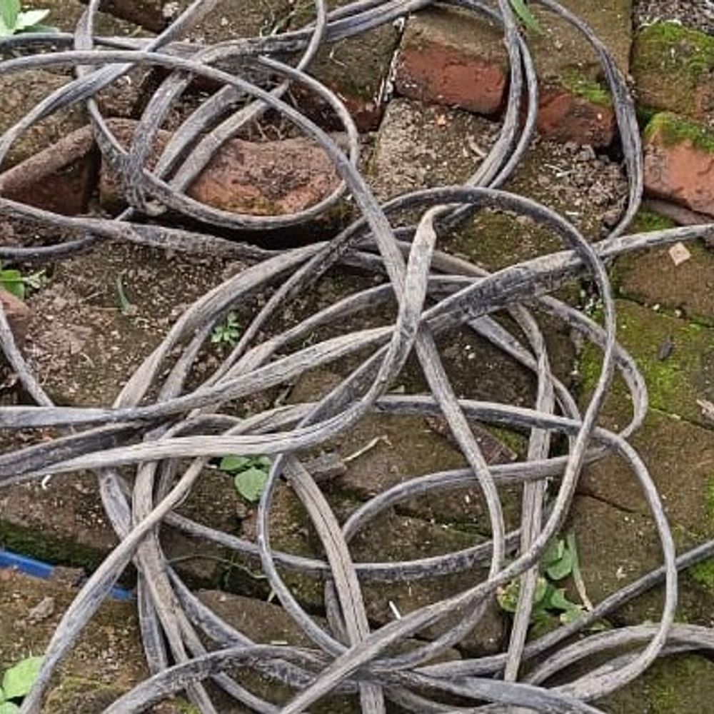 महेंद्रगढ़ में एक ही रात में 5 ट्यूबवेलों से चोरी:  चोरों ने 40 फुट केबल उड़ाई, किसानों की रात्रि गश्त की मांग – Mahendragarh News