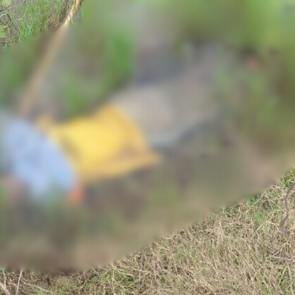 पुलिया किनारे पानी में मिला बुजुर्ग का शव:पुलिस ने पोस्टमार्टम के लिए भेजा, पहचान जारी