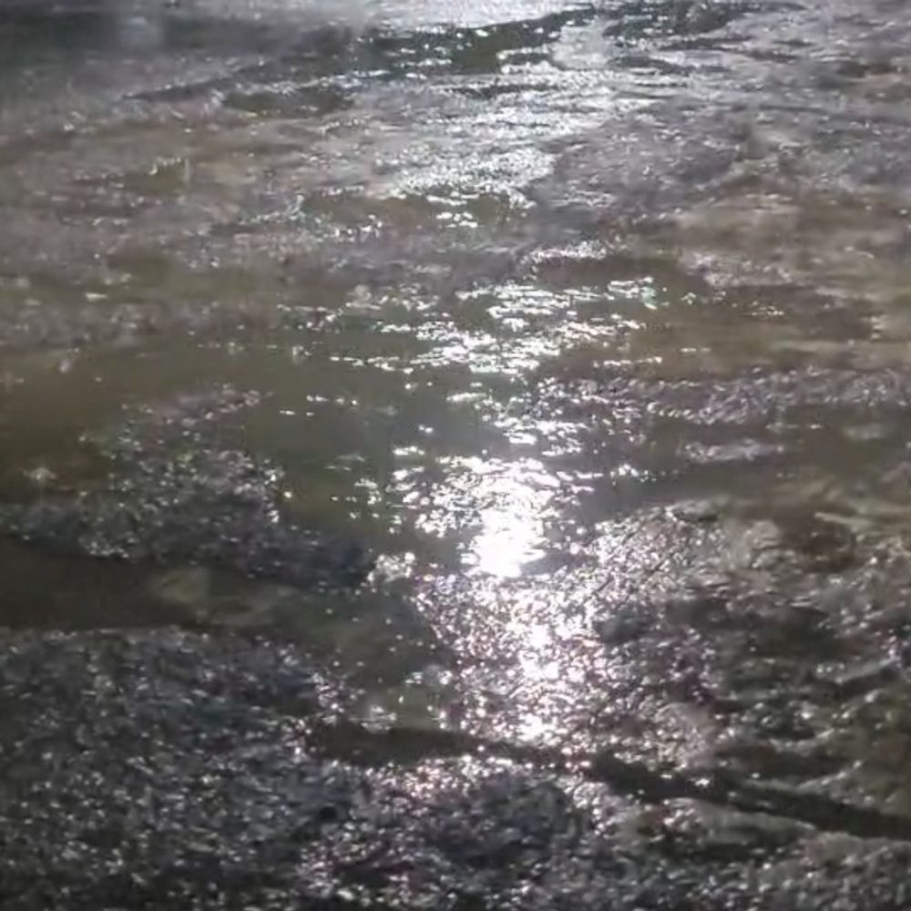 देवास में 33 इंच बारिश दर्ज:झमाझम बारिश से सड़कें जलमग्न, सोयाबीन फसल को नुकसान की आशंका