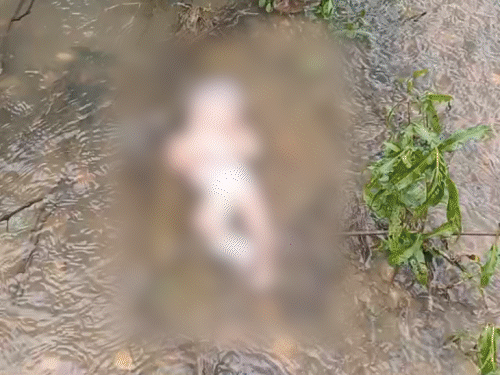 कोडरमा में नाले से नवजात का शव बरामद:  राहगीरों की नजर पड़ी तो मचा हड़कंप, पुलिस ने निकाली बॉडी, इलाके में सनसनी – koderma News
