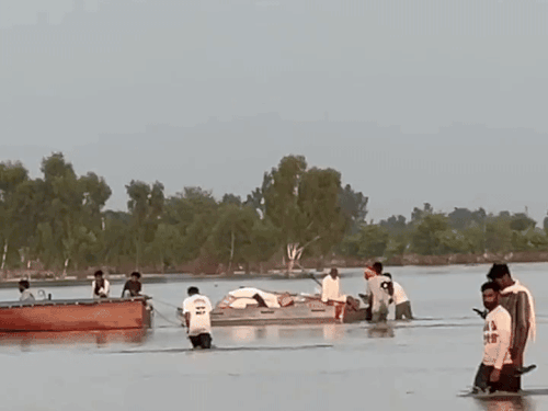 फाजिल्का में बाढ़ पीड़ितों की राशन से भरी नाव छीनी:  ग्रामीण थाने पहुंचे, दूसरा पक्ष बोला- गुरुद्वारा साहिब में रखवाया – Fazilka News