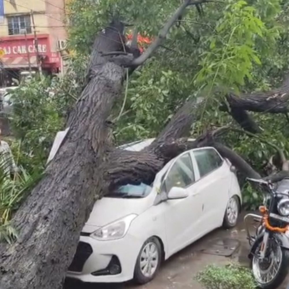 जमशेदपुर में बारिश से सड़क पर गिरा पेड़:  साकची के हावड़ा ब्रिज के पास यातायात बाधित, कई वाहन क्षतिग्रस्त – Jamshedpur (East Singhbhum) News