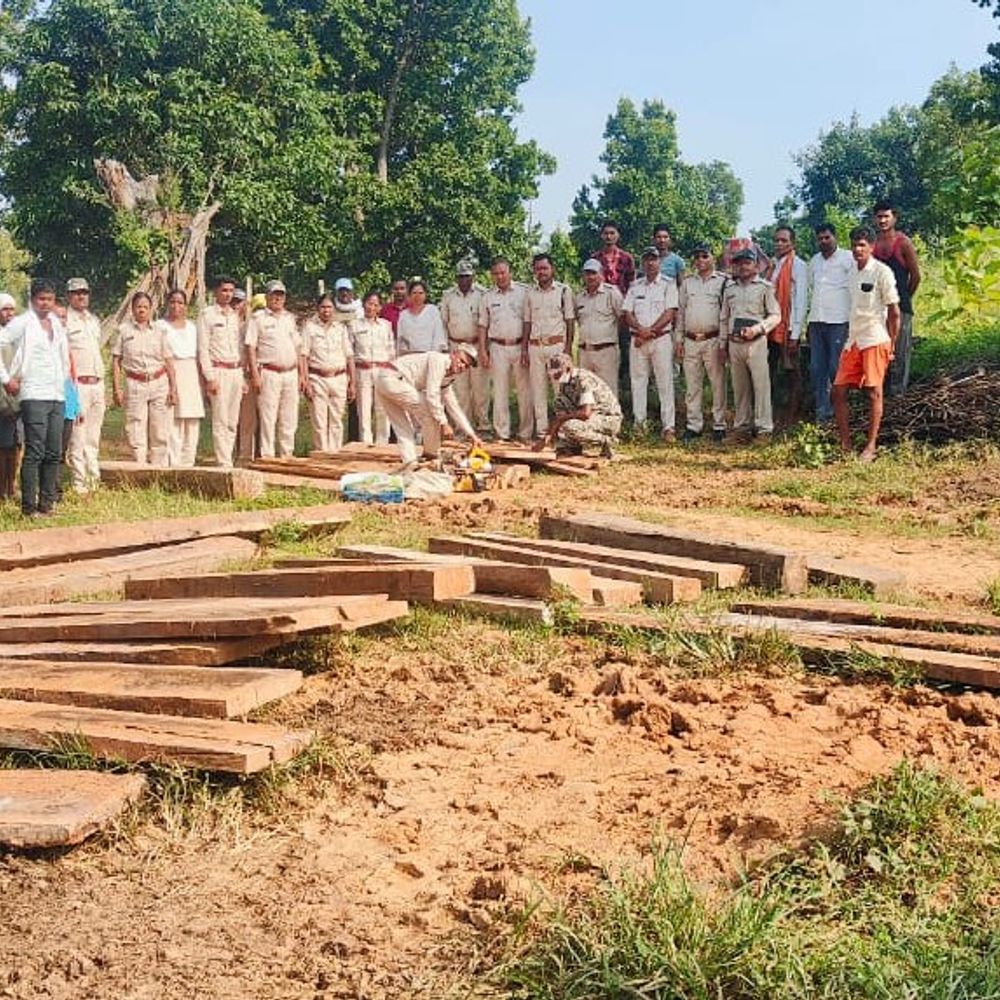 वन विभाग को मिली बड़ी सफलता:  करमडीया गांव में 30 हजार की अवैध साल लकड़ी जब्त, एक आरोपी के खिलाफ कार्रवाई – Balrampur (Ramanujganj) News