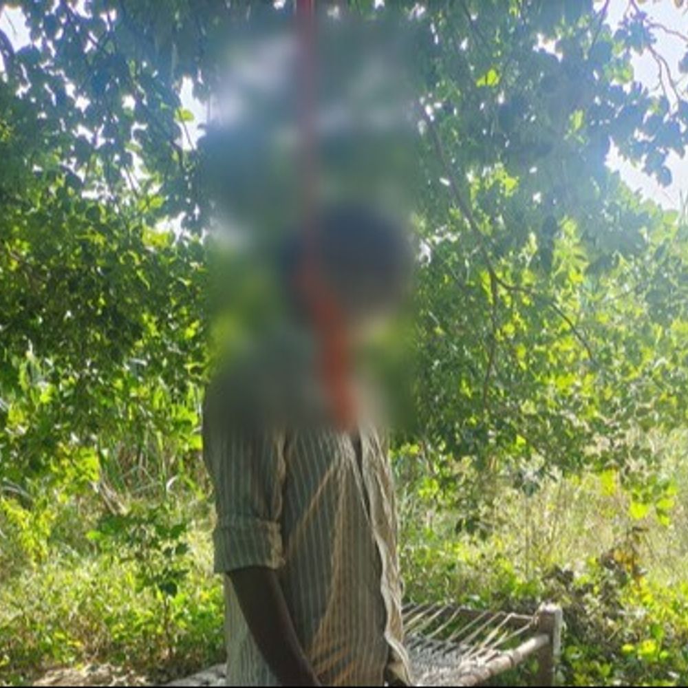 बागपत में पेड़ पर लटका मिला व्यक्ति का शव:बुलंदशहर का रहने वाला बालैनी में रहकर करता था नौकरी